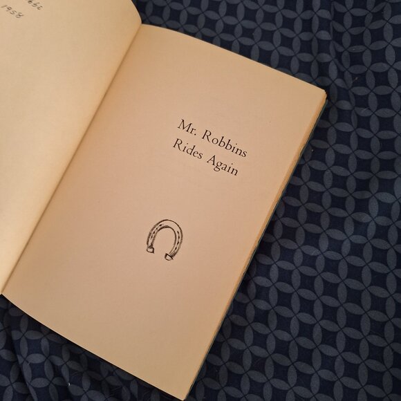 Mr Robbins Rides again - Picture 6 of 7